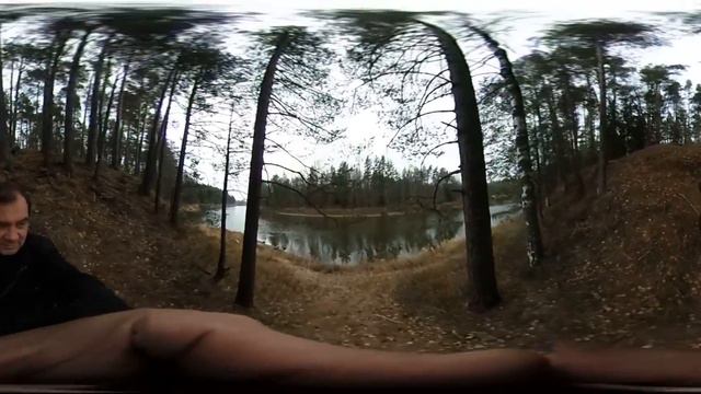 Река Молога. Сферическое видео (3d)