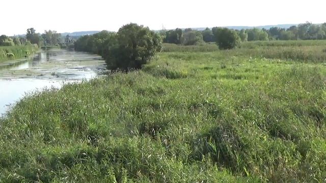 реки белгородской области река разумная белгород