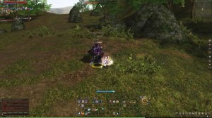 Lineage II Legacy Фарм рб котом