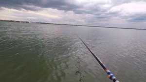 РЫБАЛКА В НЕПОГОДУ НА ОЗ.СМОЛИНО С БЕРЕГА. ЧТО КЛЮЁТ? СОСТОЯНИЕ ОЗЕРА НА КОНЕЦ ИЮНЯ 2020г.