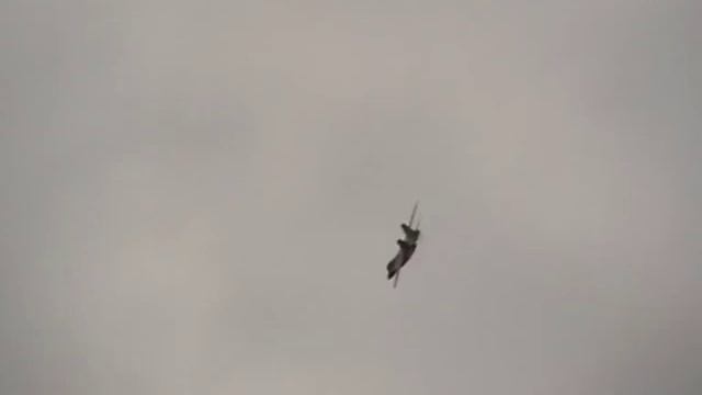 F-14 Tomcat Scratch Built смотреть онлайн