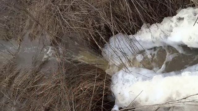 Водопад в лесостепи 8 марта 2023 г.