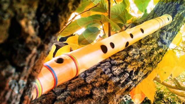 Meditacion Zen Flauta de Bambu смотреть онлайн