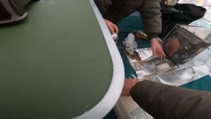 Печь в палатку из нержавейки