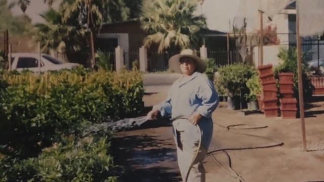 SOLA - FRANCISCO ARCE смотреть онлайн