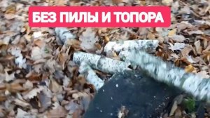 КАК ЗАГОТОВИТЬ ДРОВА в ЛЕСУ БЕЗ ТОПОРА И ПИЛЫ / ВЫЖИВАНИЕ в ЛЕСУ ЗИМОЙ БЕЗ НИЧЕГО