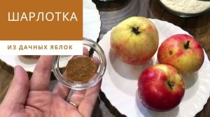 ШАРЛОТКА / ШАРЛОТКА С ЯБЛОКАМИ ПРОСТОЙ РЕЦЕПТ / ШАРЛОТКА РЕЦЕПТ В ДУХОВКЕ