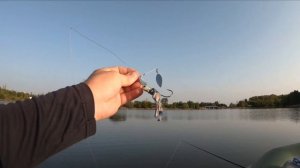 Ловля щуки на мелководье на воблер Kanata от Bearking и спиннербейт от Lucky John Shock Blade