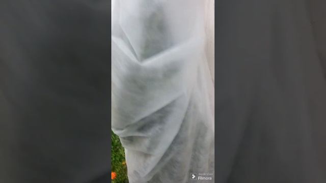 Мой вариант укрытия туй смотреть онлайн