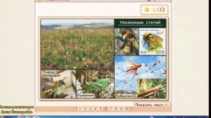 В широкой степи