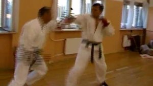 Карате-Кемпо - Сен Рё Кемпо Кан 2009г.
