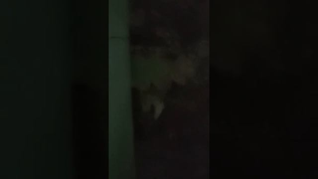 Ремонт магазина Пятёрочка смотреть онлайн