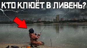 Рыбалка в ливень ШОКИРУЕТ! КРУПНАЯ рыба клюёт СРАЗУ! Это лещ?