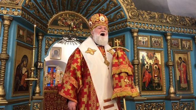 Проповедь митрополита Вадима 21 ноября смотреть онлайн