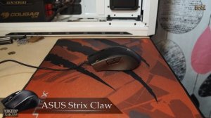 ASUS Strix Claw.  Цепкий хват совиных лап.