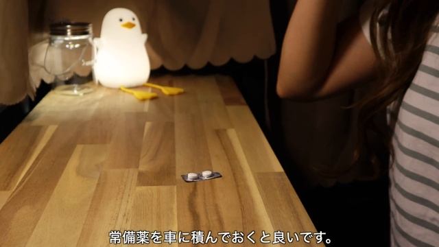 ［車中泊］標高1000mの山でひとり車中泊。まさかの体調不良／car camping