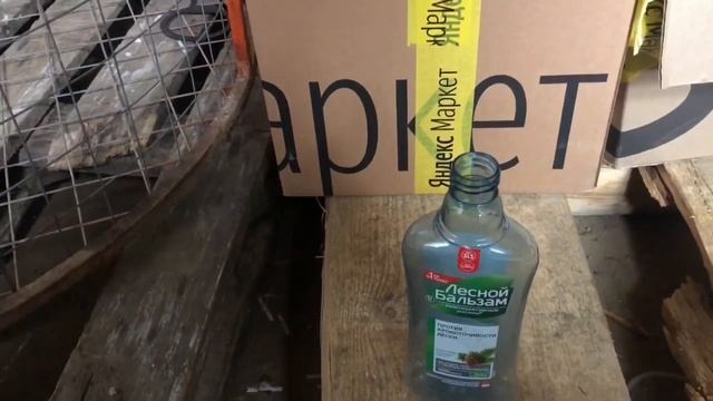 Обратная связь по Акции N 25 от 31 01 2021 г смотреть онлайн