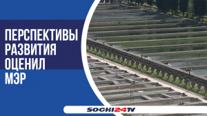 Сочи может стать одним из крупных производителей черноморской форели в России