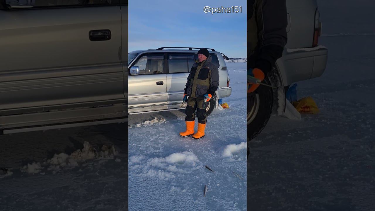 ЗА КОРЮШКОЙ #SHORTS #РЫБАЛКА #МАГАДАН #КОРЮШКА смотреть онлайн