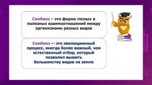 Естествознание. 4 класс. Что такое симбиоз? Как происходит развитие насекомых? /05.10.2020/