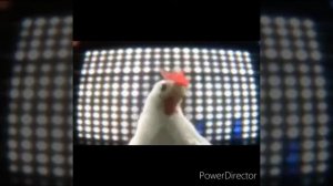 Танец курицы ?