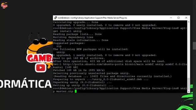 ⚙️ Instalar PLUGINS Sub-Zero en PLEX OMV Docker смотреть онлайн