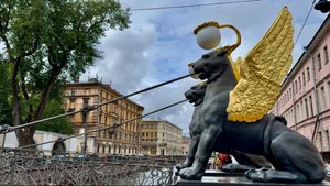 Грифоны с золотыми крыльями на Банковском мосту. Мойка, Фонтанка, вода поднялась. Санкт-Петербург.