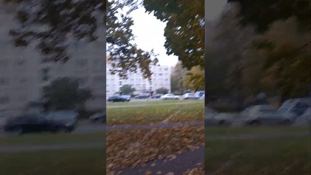 Наш Дуб и Мистика Судьбы. автор видео Ольга Ушакова