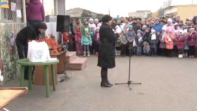 Где должны жить носороги? смотреть онлайн