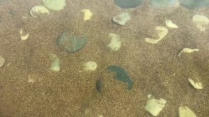 Искусственный водоем с декоративной отделкой натуральным камнем от Ланитэкс. #фонтаныБеларусь