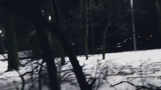 VID 20230301 205012 Денни Дивер (Джозеф Киплинг)...Павел Васильев Лахтинский