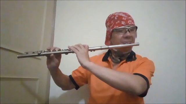 李香蘭-夜來香-長笛Flute練習02(cover-by 任閒騎miraclemaryboy)A調 смотреть онлайн