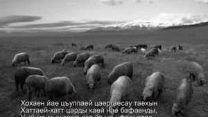 АХСАР ДЖИГКАЕВ      Æрра фийау