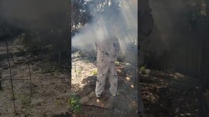 Уничтожение клещей, комаров и короедов в Московской области горячим туманом.
