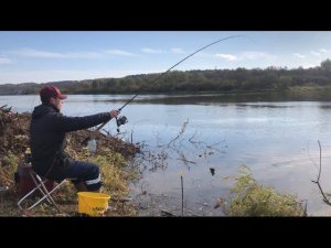 ФИДЕР НА ОКЕ / Рыбалка в ОКТЯБРЕ на Белую рыбу