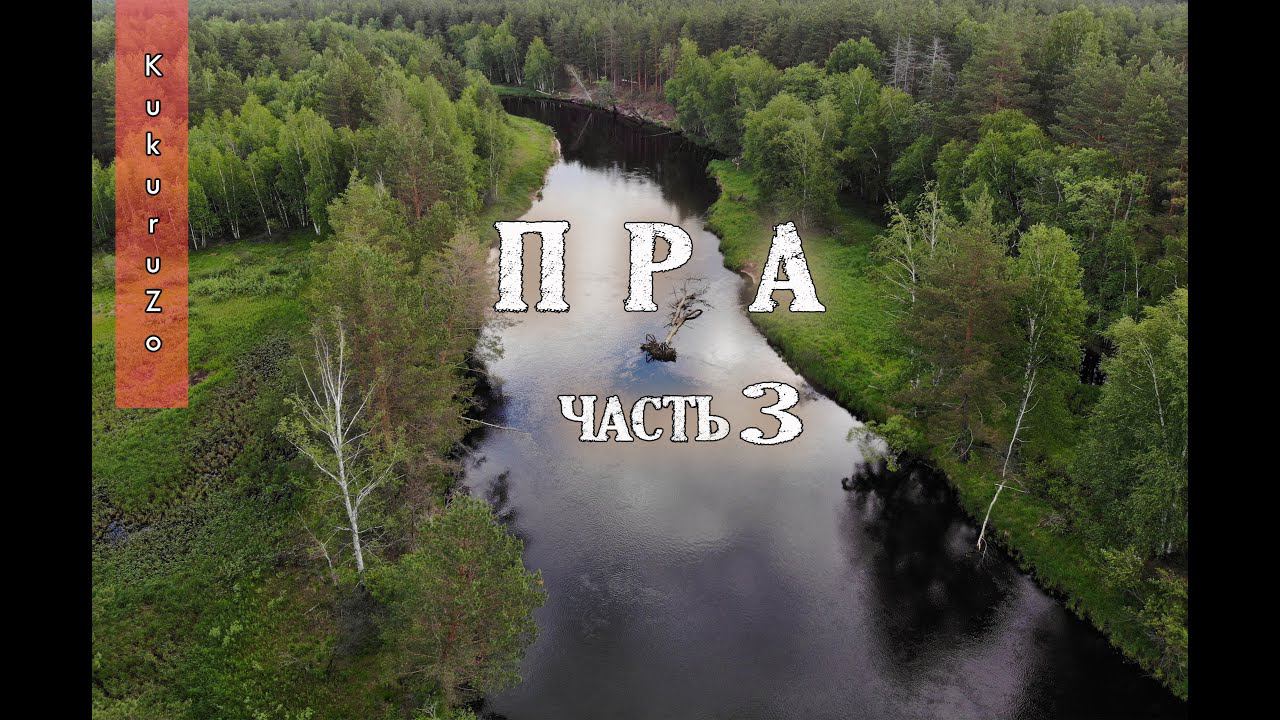 Сплав по реке Пра 3. Лесной пожар и новое слово в рыбном блогинге. КукуруЗо. смотреть онлайн
