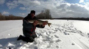 Рыбалка со льда в начале весны. Щука на жерлицы.