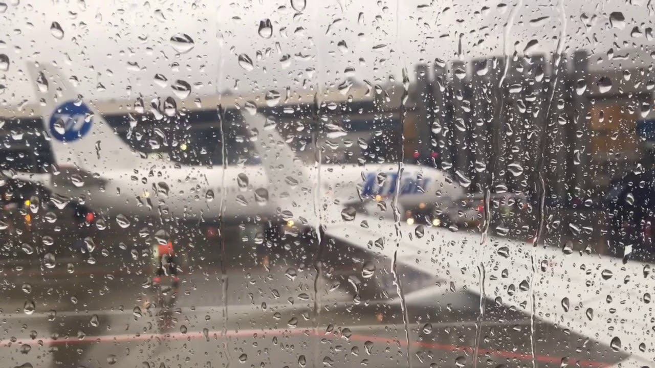 UUWW ВНУКОВО - UUYY СЫКТЫВКАР  UTA375  B737-500  24.09.2018