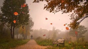 Александр Буйнов   Падают листья