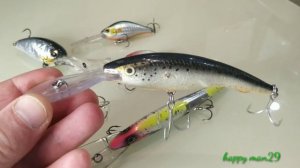 Воблеры для троллинга - лучшие 2021