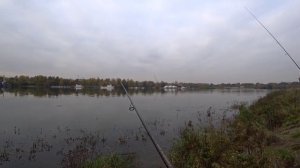 Искали Хищника а нарвались на Леща. Подмосковная рыбалка с компанией