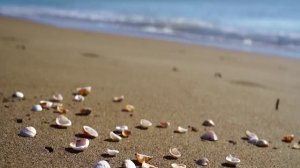 Тот, кому ты помог, тебя и утопит (Святитель Николай Сербский)