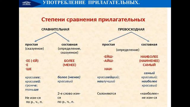 Морфологические нормы литературного языка