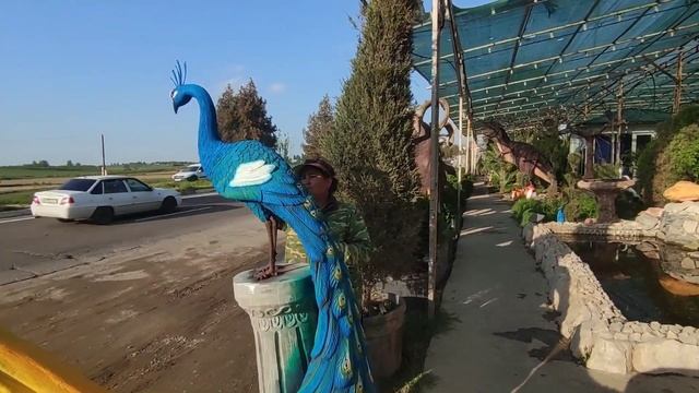 скульптура павлин из арт бетона своими руками ??