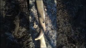 МОЩНЫЙ АРБАЛЕТ своими руками для рыбалки боуфишинга