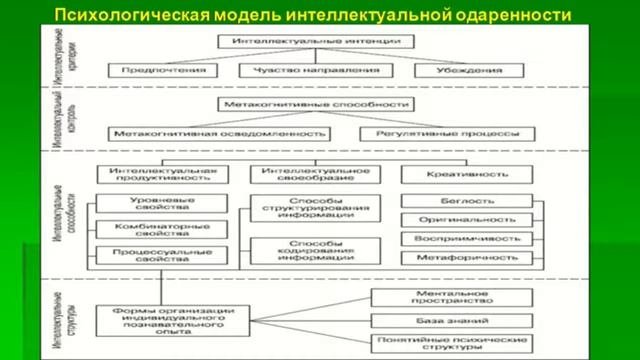 Смаглий Т.И.Психология одаренности.Общая и специальная одаренность