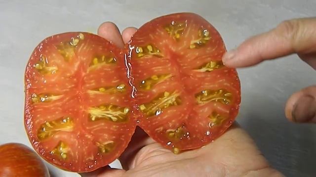 Томат Санрайз Джаз. Тест зрелых плодов. смотреть онлайн