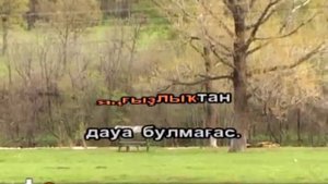 Пар Алма (караоке)