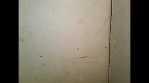 Семья на Земле: Как утеплить сельский туалет очень дешево?