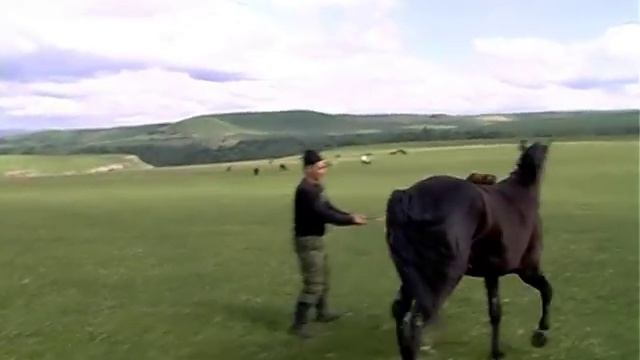 Niam Niam. Кавказская кухня. Карачаевская кухня. Приготовление сыра, чая, халвы, хычинов и баранины